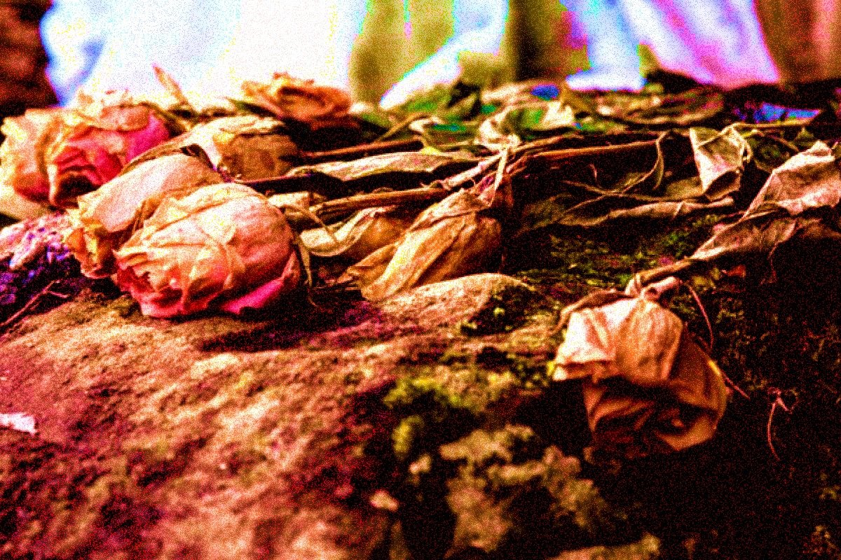 «Flores muertas en el hotel de los ciegos» de Máximo Olmos.