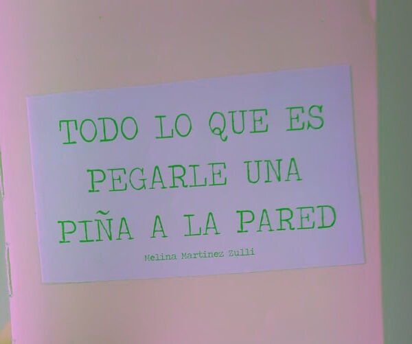 “TODO LO QUE ES PEGARLE UNA PIÑA A LA PARED”, Melina Martínez Zulli