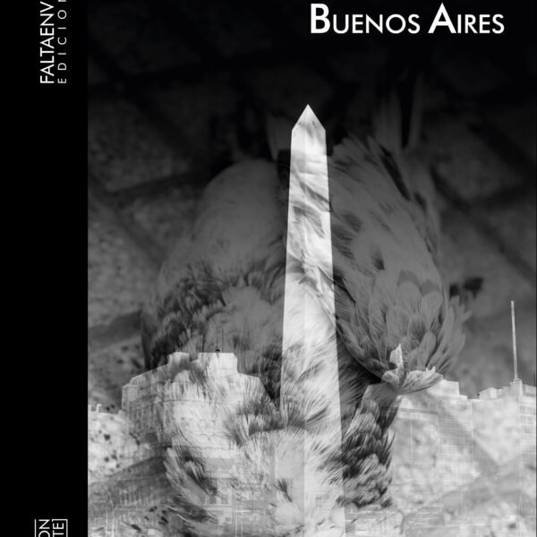 Salvaje mundo Perrone. Una narrativa de la negatividad y el fracaso