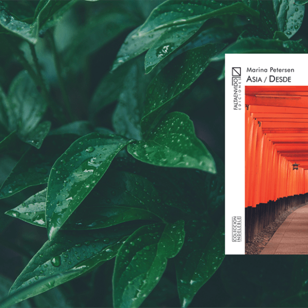POEMAS, FRAGMENTOS DE UN VIAJE: «Asia/Desde» de Marina Petersen