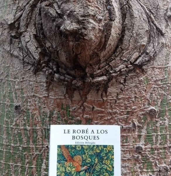 VICTORIANAS Y JARDINES O AQUELLO QUE SE CULTIVA POR LOS BORDES DE LOS ALAMBRADOS