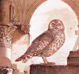 «El búho de Minerva levanta vuelo al anochecer» de Alfredo Lemon