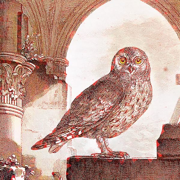 «El búho de Minerva levanta vuelo al anochecer» de Alfredo Lemon