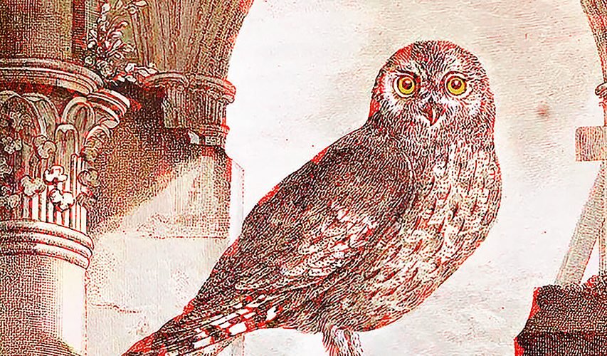 «El búho de Minerva levanta vuelo al anochecer» de Alfredo Lemon